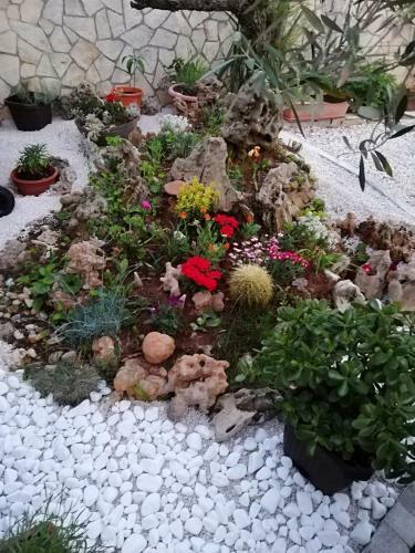 Apartmani Poljanec