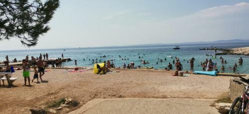 Apartman Jadranka