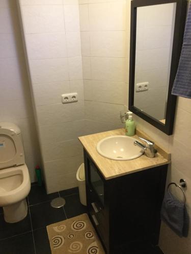 Apartamento Vila Park
