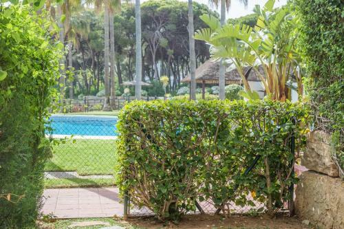 Apartamento 1br Beachfront Complex - Mi Capricho