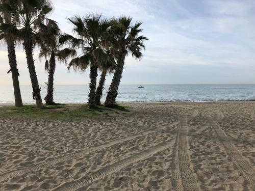 Apartamento Pueblo Los Olivos