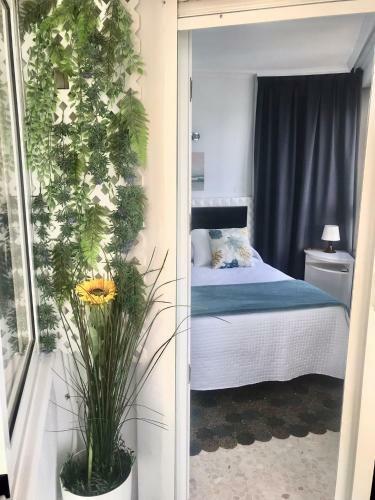 Apartamento Urbanizaci�n Algaida