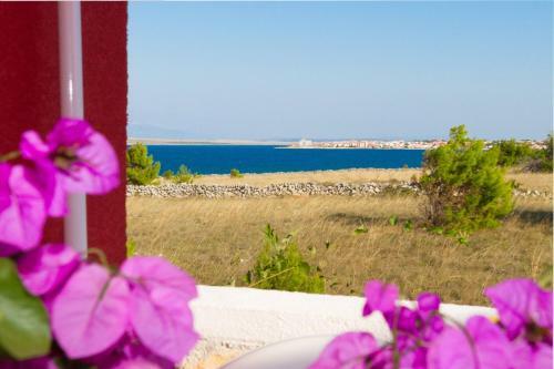 Sea View Apartments Vir