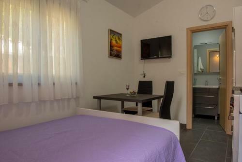 Studio Apartman Vir