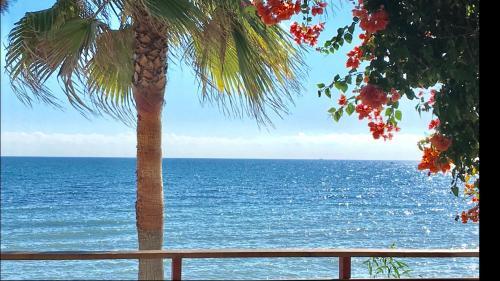 Mi Capricho 3d Beachfront- Apartment With Sea Views In Costa Del Sol,