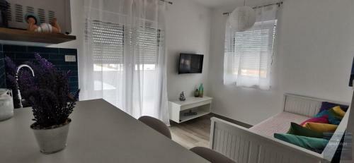 Apartmani Katarina