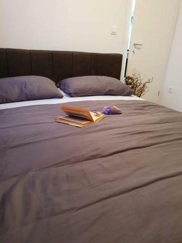 New Apartment Near Beutiful Beach