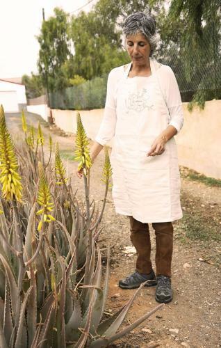 Bed & Breakfast Casa Inspirada
