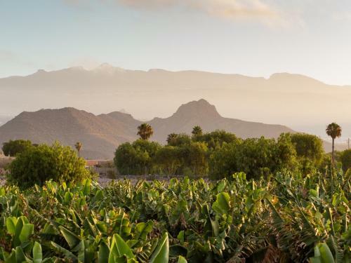 Villa El Mato Caser�o De Guaza