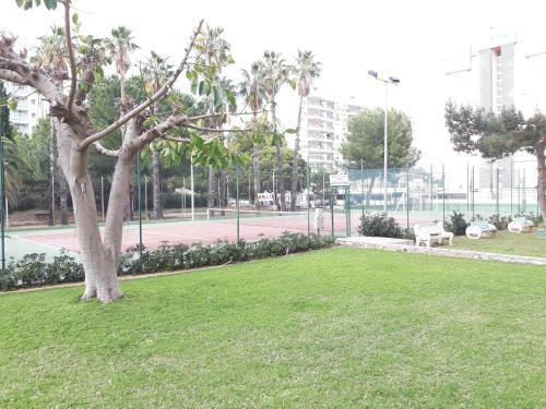 Apartamento Geminis Playa De Gandia