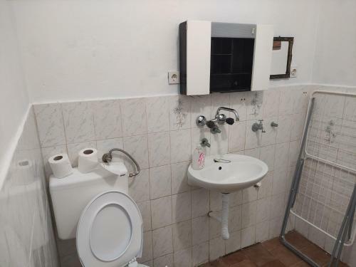 Apartamento Vir Adriatic Croatia