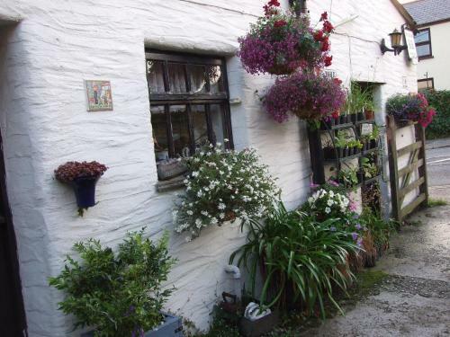 Bed & Breakfast Emms Cottage