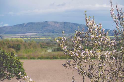 Posada The Haughmond
