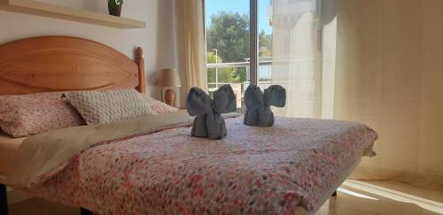 Apartamento Punta Prima Pleamar