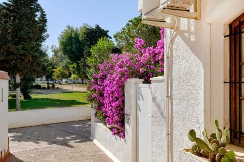 Apartamento Pueblito La Zenia Beach