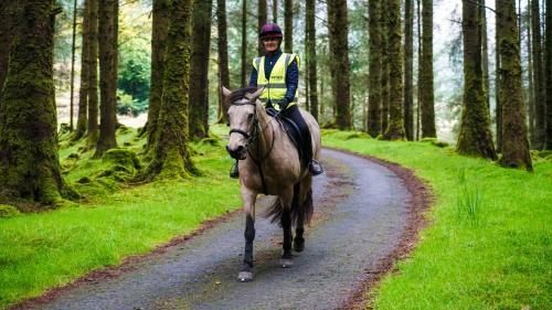 Forester's Retreat Glamping