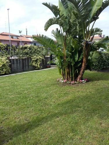 Apartamento Appartamenti Sole Delle Aci