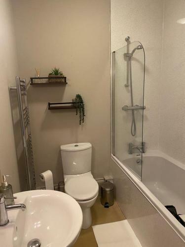 Apartamento Lan Y M�r 4 Aberystwyth