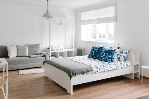 Lake Aluksne Studio Apartment
