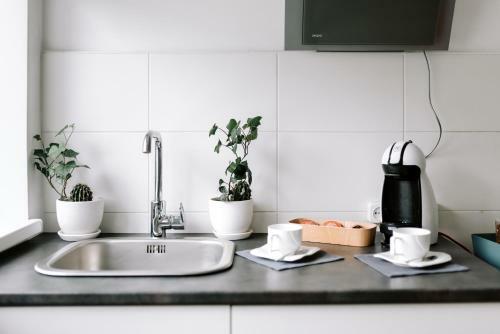 Lake Aluksne Studio Apartment