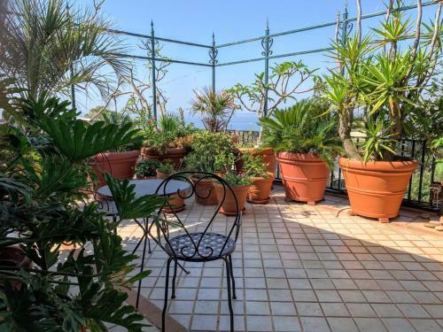 Apartamento Terrazza Pavone