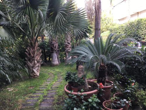 Apartamento Terrazza Pavone