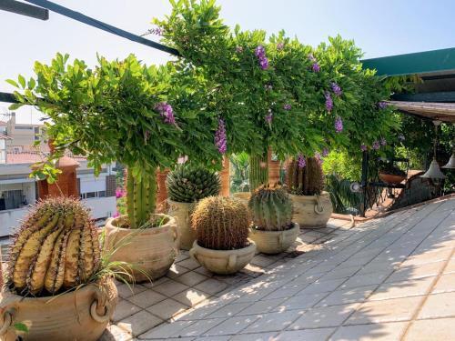 Apartamento Terrazza Pavone