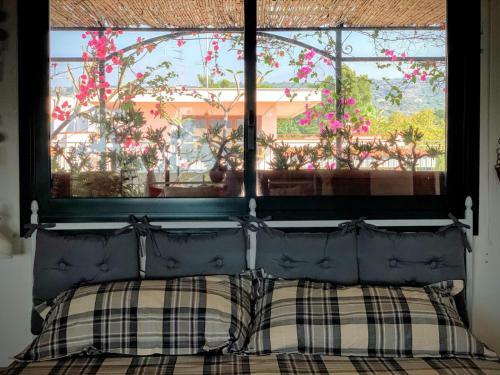 Apartamento Terrazza Pavone