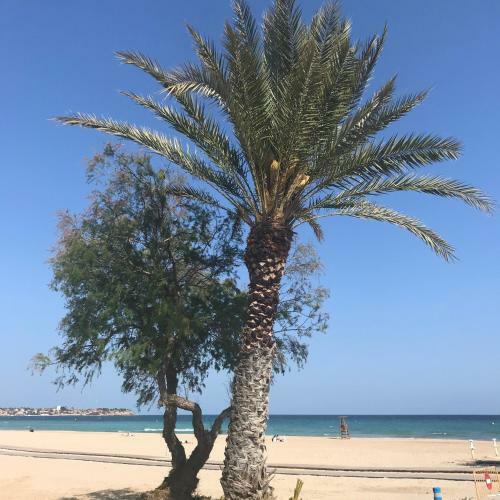 Apartamento Mar Y Pinada