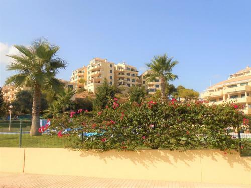 Apartamento Lomas De Campoamor Ref 8222