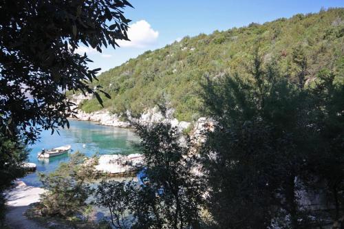 Seaside Secluded Apartments Cove Tatinja, Hvar - 5729