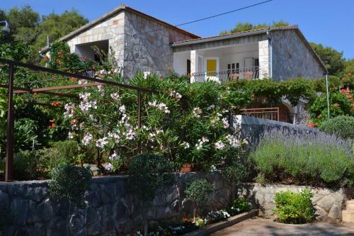 Apartments Basina