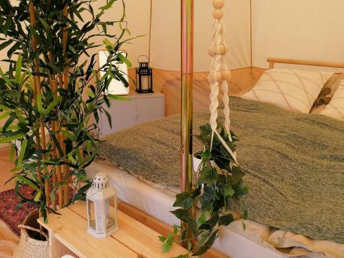 Hostal Guesthouse Gjoel