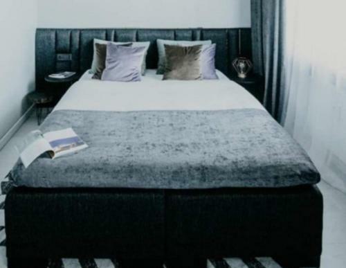 Apartamento Erta Anyk??i? Namai
