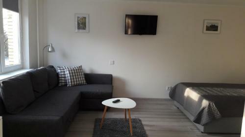 Anyk??iai Center Apartment