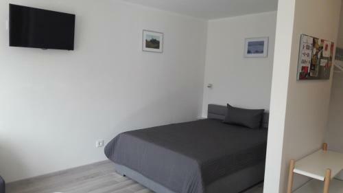 Anyk??iai Center Apartment