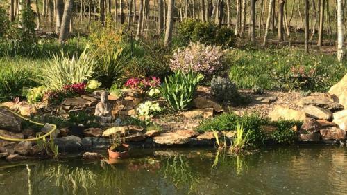 Bed & Breakfast Manoir Familial de La Provosterie