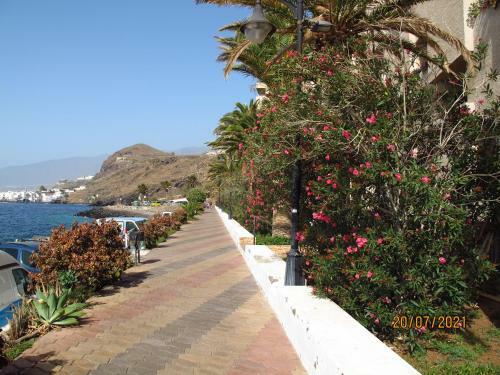 Apartamento En Playa