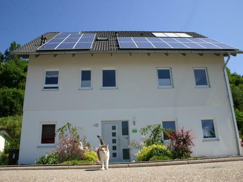 Apartamentos Ferienwohnung Irslenbach