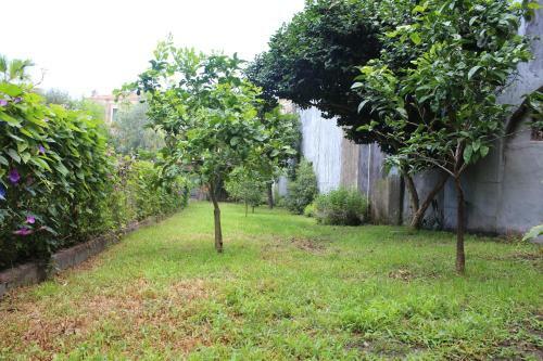 Apartamento La Corte Di Aci