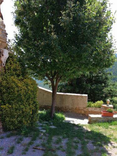 Agroturismo Casa Rural Bar�