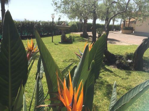 Villa Milagros-appartamento In Villa