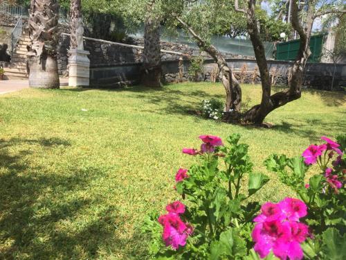 Villa Milagros-appartamento In Villa