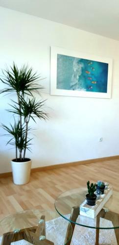 Apartamento Beach Front Sea View Punta Prima