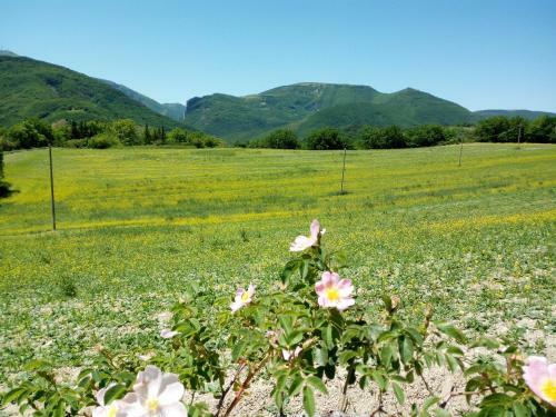 Apartamento Ca' Tofano