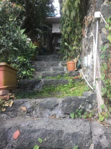 Apartamento Pepa House
