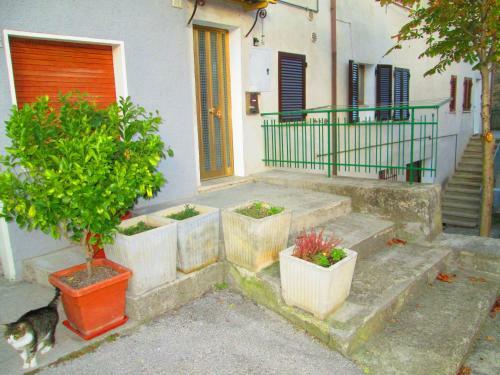 Apartamento La Casa Dei Nonni