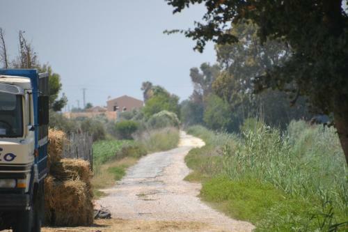 Finca Milagro
