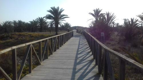 Finca Milagro