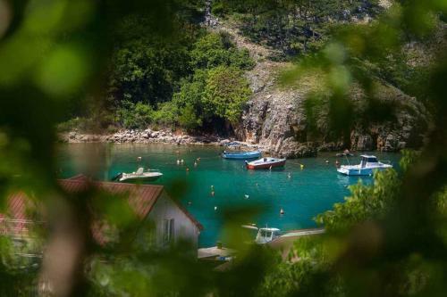 Apartment In Vrbnik/insel Krk 35995